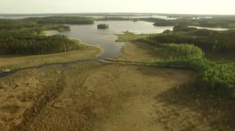 Eutrophic bay with dense reed vegetation at a Finnish lake Stock Footage 68659072