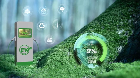 EV Net Zero 2050 Green Sphere Earth Icons Charger Concept On Moss Tree Stock Footage 284349364