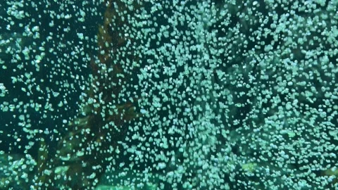 EV-SOCAL-19 Stock Footage 320176236