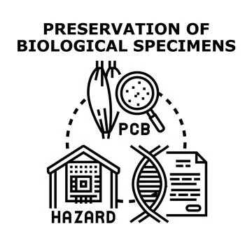 Evaluating biological specimen preservation against environmental hazards Stock Illustration