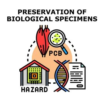 Evaluating biological specimen preservation against environmental hazards Illustrazione stock