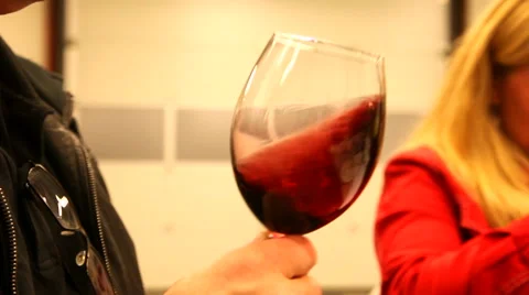 Evaluating vine on a vine tasting meeting Video stock 44207267