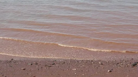 Evangeline Beach Vidéo 11325196