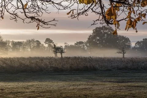 Evaporating mist Stock Photos