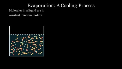 Evaporation is a cooling process 動画素材 336463974