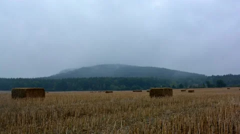 Evaporation from the forests, timelapse Stock Footage 53581591