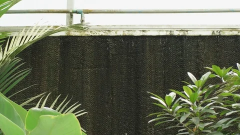 Evaporative cooling pad Stock Footage 79888389