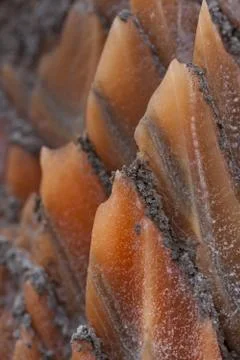 Evaporites Foto stock