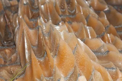 Evaporites Фото