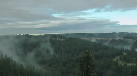 Evapotranspiration over forest 스톡 동영상 54743870