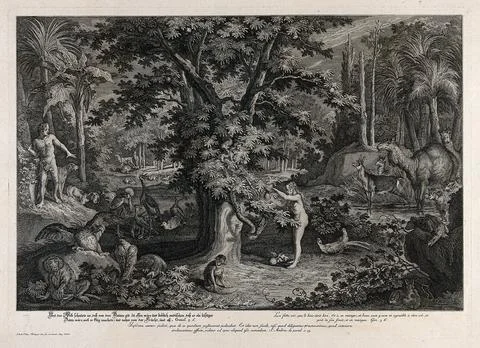 Eve picks the apple from the tree as the serpent emerges. Etching by J.E. R.. Stock Illustration