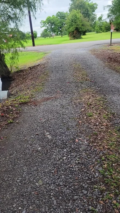 Even Alligators Like Boiled Crawfish, Bourg, Louisiana, usa - 21 May 2026 Video stock 337562788