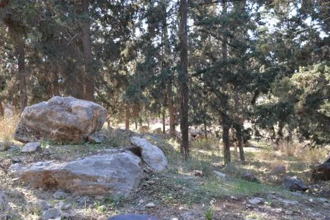 Even HaEzer Stock Photos