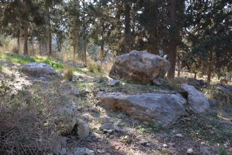 Even HaEzer Stock Photos