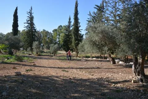 Even HaEzer Stock Photos