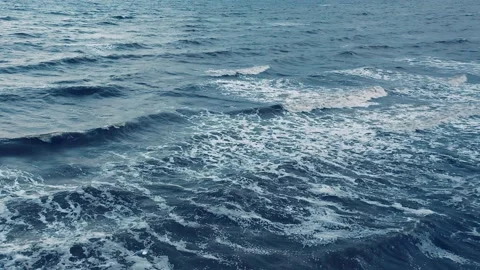 Evening aerial view of seagulls hovering over the ocean surf. Stock Footage 237864620