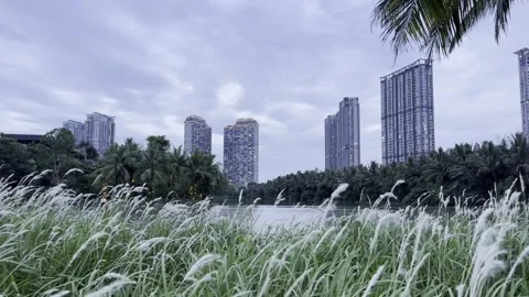 An Evening Among The Tropical Greenery In Ecopark Stock Footage 335737954