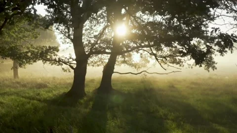 Evening Atmosphere 30s 動画素材 232968698