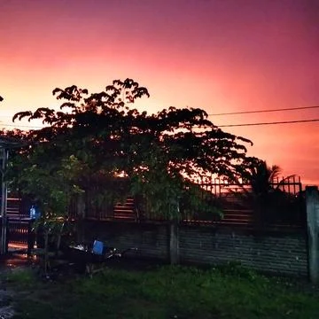 Evening atmosphere Stock Photos