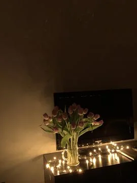 Evening atmosphere Stock-Fotos
