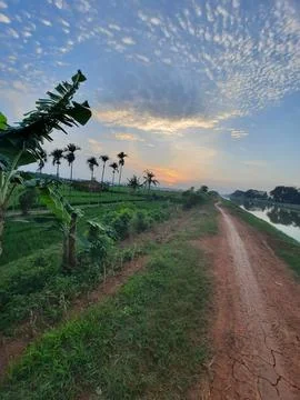 Evening atmosphere Stock Photos