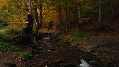 Evening in the Autumn Forest. Mountain River and Waterfall Stock Footage 105156591