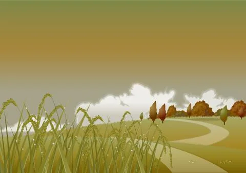 Evening autumn wheat Stock Illustration