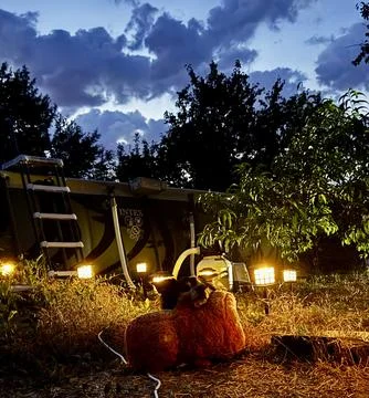 Evening Backyard Setup with Cozy Lights Foto stock