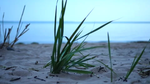 Evening at the Baltic Sea beach. Stock Footage 248531397