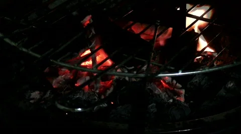 Evening barbecue/grill 1 Stock Footage 569312