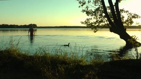 Evening bath during sunset in a lake in Brandenburg Stock Footage 53785951