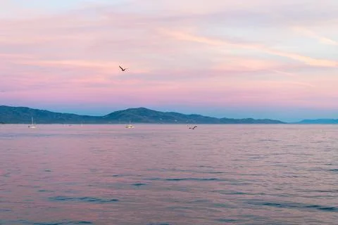 Evening bay Stock Photos