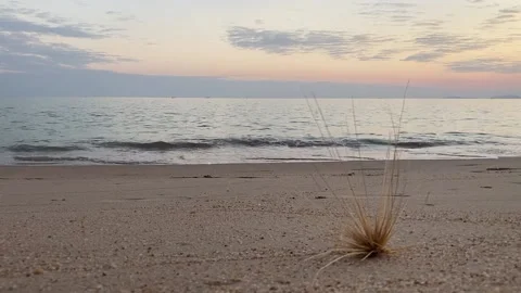 Evening Beach Stock Footage 166616077