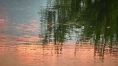 Evening beautiful sky with pink clouds is reflected on surface of small fast  Stock Footage 213334379