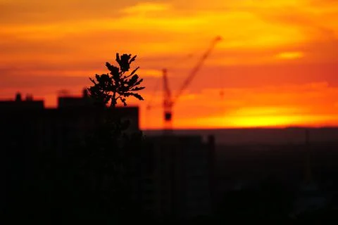 Evening beauty Foto stock