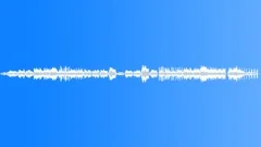 Evening Bird (soothing, ethnic, warm, calming, relaxing, organic)Stock Music
