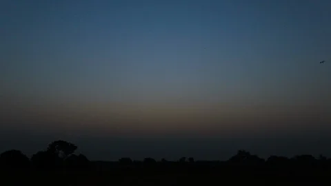 Evening. Birds Fly In The Sky. Stock Footage 107390583