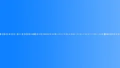 Evening Birds Near the River - Ambient, Background 01 loop Sound Effect