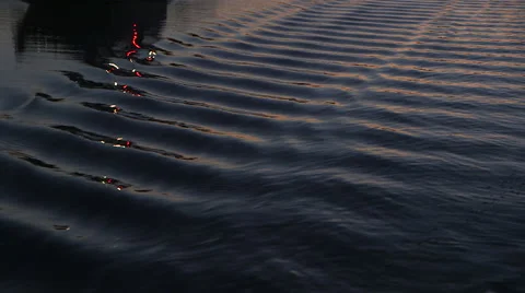 Evening boat ride Stock Footage 61202585