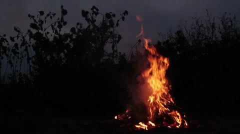 Evening bonfire Stock Footage 42614238