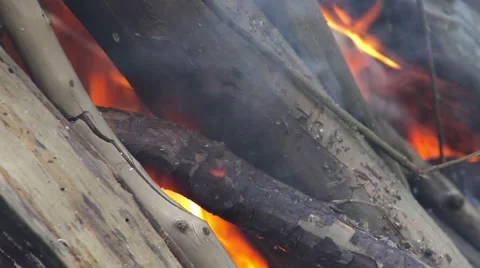 Evening bonfire Stock Footage 50885014