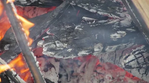 Evening bonfire Stock Footage 50885380