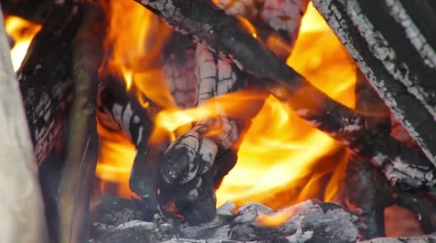 Evening bonfire Stock Footage 50885549