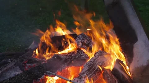 Evening bonfire Stock Footage 50886317