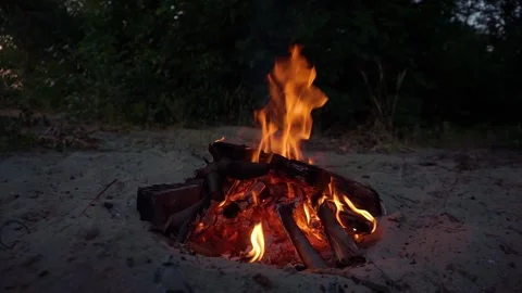 Evening bonfire Видео 157350455
