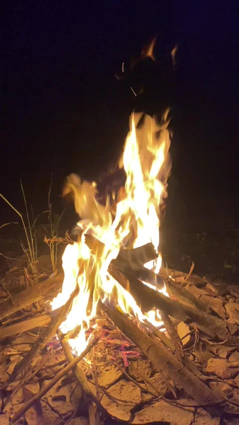 Evening bonfire Vídeos de archivo 325641137