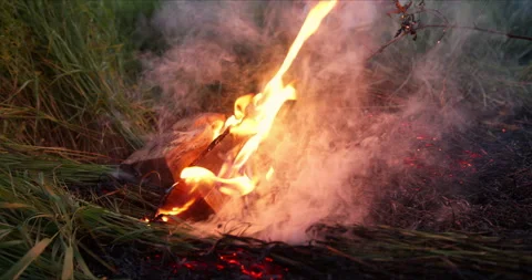 Evening bonfire in the middle of the meadow Video stock 144014525