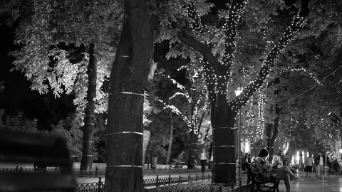 Evening Boulevard Stock Footage 83417898