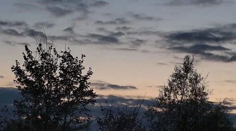 Evening Breeze Stock Footage 31548356