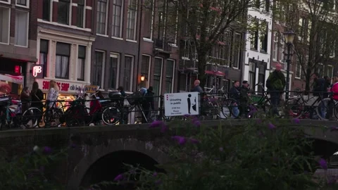 In the evening on the bridge of Amsterdam Video stock 223246317